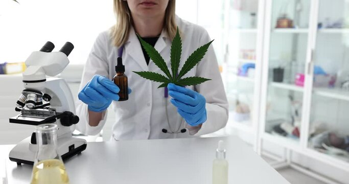 Scientist holding marijuana leaf and oil conducting experiments with hemp leaves in laboratory. Pharmacist extracts cannabis oil in laboratory, medical researcher works on medicinal herbs