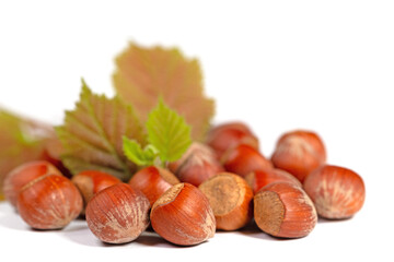 Haselnüsse vor weißem Hintergrund