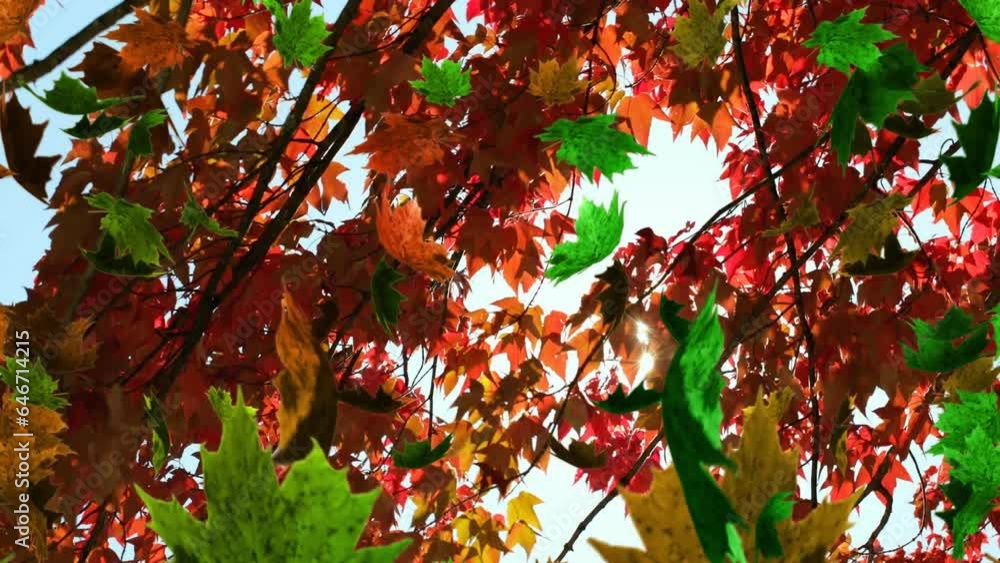 Aufkleber animation of autumn leaves floating and spinning against low angle view of trees and sky