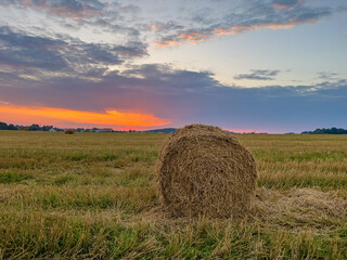 A picturesque scene capturing the rustic charm of a straw-strewn field basking in the warm, golden hues of the sun.