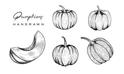 Pumpkin vector drawing set. Isolated hand drawn object with sliced piece and leaves. Vegetable engraved style illustration. Detailed vegetarian food sketch. Farm market product.