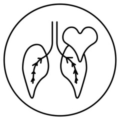 lungs, lung, health, care, disease, medicine, medical, cancer, respiratory, healthy, human, lungs, organ, anatomy, pulmonary, background, illustration, body, vector, isolated, pneumonia, chest