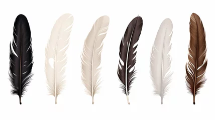 Selbstklebende Fototapete Federn set collection of feathers isolated on a background for design and overlay