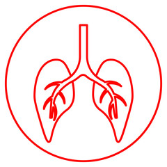 lungs, lung, health, care, disease, medicine, medical, cancer, respiratory, healthy, human, lungs, organ, anatomy, pulmonary, background, illustration, body, vector, isolated, pneumonia, chest