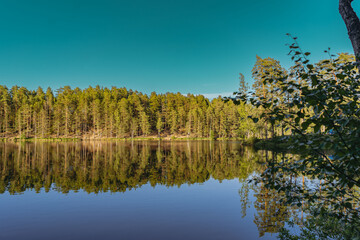 beautiful sunset at forest lake. Pine forest and clesr blue sky reflecting in water
