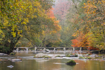 Tarr Steps, a clapper bridge across the River Barle. Exmoor National Park, Somerset, UK.