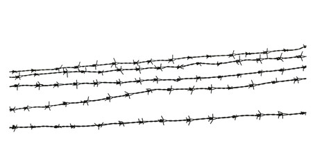 Barbed wire. Genocide. Concentration camp. on transparent png.