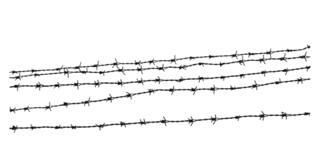 Barbed wire. Genocide. Concentration camp. on transparent png.