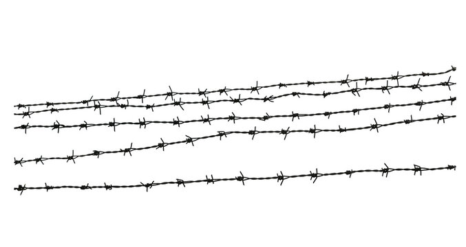 Barbed wire. Genocide. Concentration camp. on transparent png.