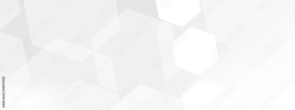Poster abstract trendy technology of gradient white and gray hexagonal element pattern artwork design backg