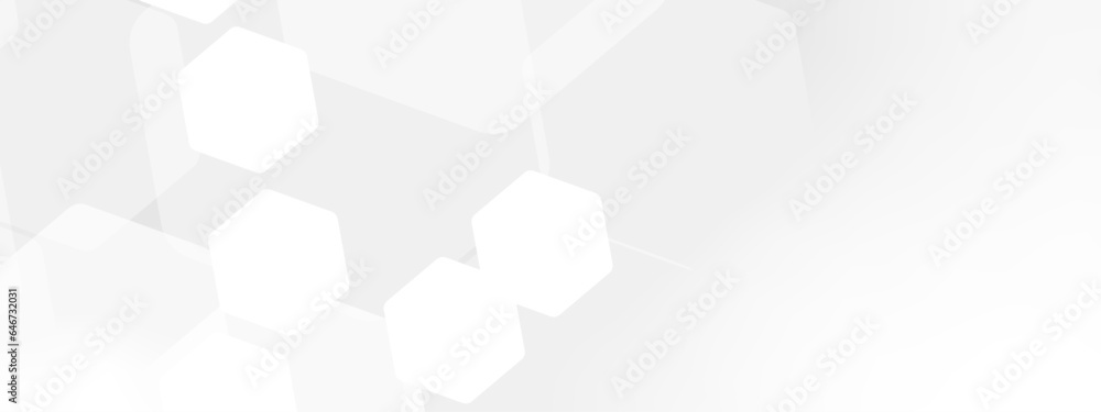 Poster abstract trendy technology of gradient white and gray hexagonal element pattern artwork design backg