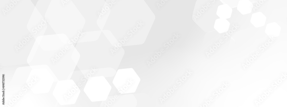 Poster abstract trendy technology of gradient white and gray hexagonal element pattern artwork design backg