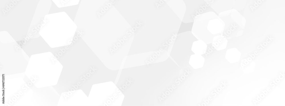 Poster abstract trendy technology of gradient white and gray hexagonal element pattern artwork design backg