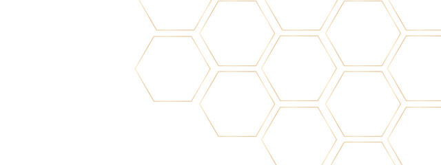 Luxury white and grey hexagonal abstract background. Geometric 3d texture illustration. Abstract hexagonal concept technology, banner and wallpaper background.	