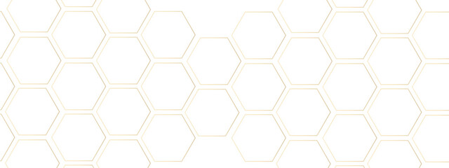 Luxury white and grey hexagonal abstract background. Geometric 3d texture illustration. Abstract hexagonal concept technology, banner and wallpaper background.	