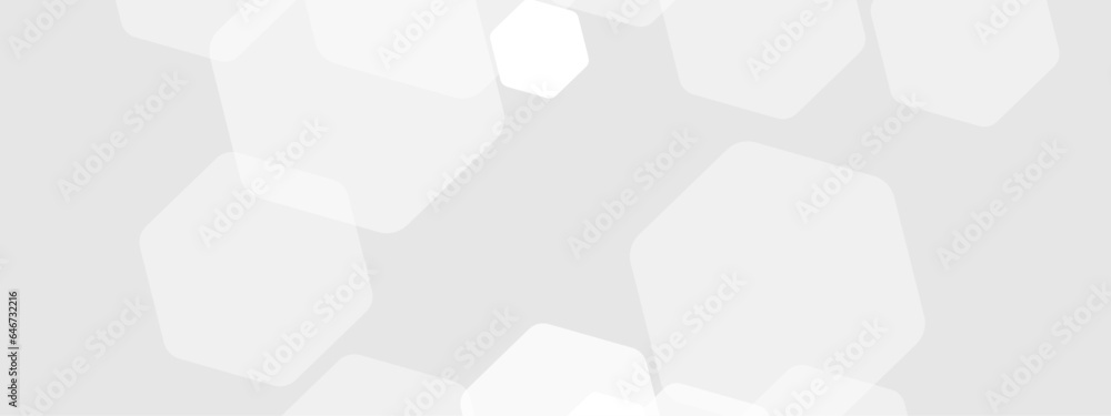 Poster abstract trendy technology of gradient white and gray hexagonal element pattern artwork design backg