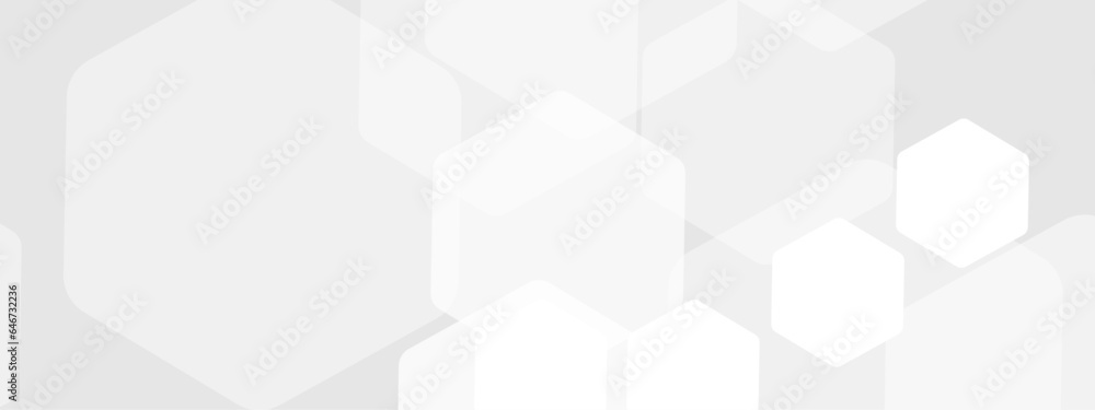 Poster abstract trendy technology of gradient white and gray hexagonal element pattern artwork design backg