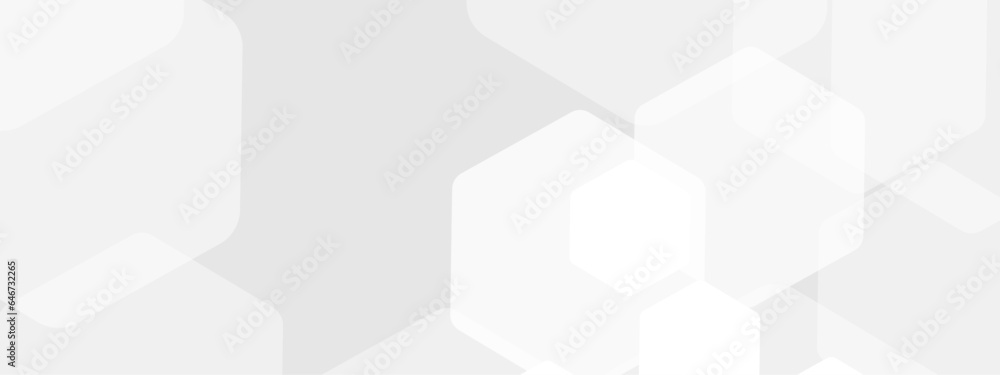 Poster abstract trendy technology of gradient white and gray hexagonal element pattern artwork design backg