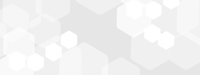 Obraz premium Abstract trendy technology of gradient white and gray hexagonal element pattern artwork design background. Use for ad, poster, presentation, print, artwork.