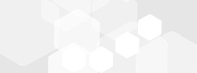 Obraz premium Abstract trendy technology of gradient white and gray hexagonal element pattern artwork design background. Use for ad, poster, presentation, print, artwork.