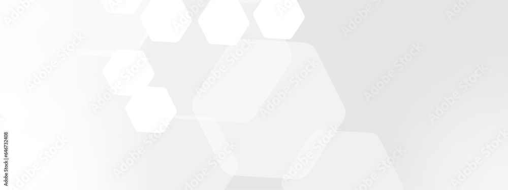 Poster abstract trendy technology of gradient white and gray hexagonal element pattern artwork design backg