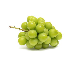 シャインマスカット 