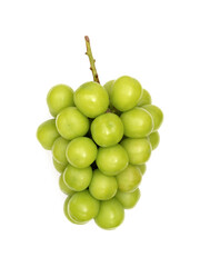 シャインマスカット 