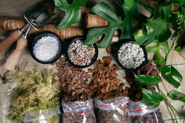 Monstera repotting time: various ingredients of healthy airy soil