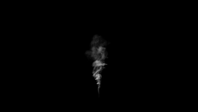 Small smoke with transparent background - Trail of rising smoke with alpha channel. Animation