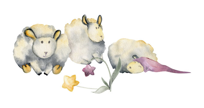 Watercolor hand drawn illustration, cute little plush baby sheep with magical star flowers. Textured effect. Composition isolated on white background. For kids, children bedroom, fabric, linens print