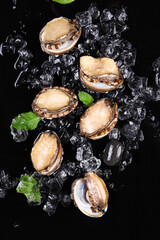 Abalone, ice cubes, fresh seafood food, black background, close-up