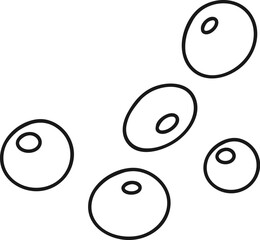 Berries Spices Lined