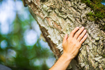 A man's hand touch the tree trunk close-up. Bark wood.Caring for the environment. The ecology concept of saving the world and love nature by human
