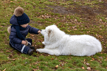 Kid playing with a puppy on a walk in the autumn park
