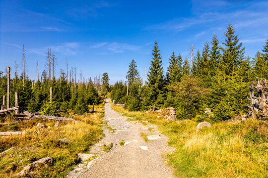 Sp&auml;tsommerwanderung durch den Nationalpark Harz rund um den Oderteich b. Torfhaus - Niedersachsen - Deutschland