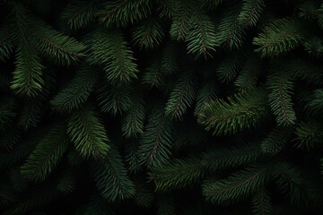 Fototapeta premium Christmas fir tree branches banner background Generative AI