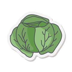 Cauliflower Healthy Vegetable Vegetarian Ingredients Sticker Bullet Journal