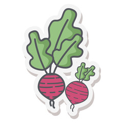 Beets Healthy Vegetable Vegetarian Ingredients Sticker Bullet Journal