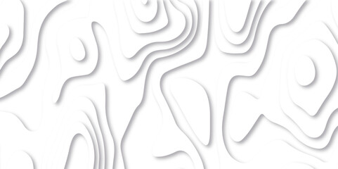 Abstract white paper cut background with lines. Background of the topographic map. White wave paper curved reliefs abstract background. Realistic papercut decoration textured with wavy layers.