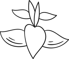 Beetroot Lined Vegetable