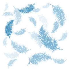 Obraz premium Blue feathers glitter on transparent background.Design for decorating,background, wallpaper, illustration