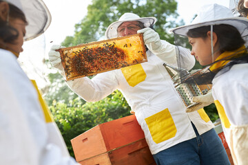 Male beekeeper teaching about honeycomb frame to girls
