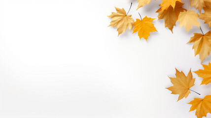 maple leaves on a white background isolated frame of fallen leaves autumn blank