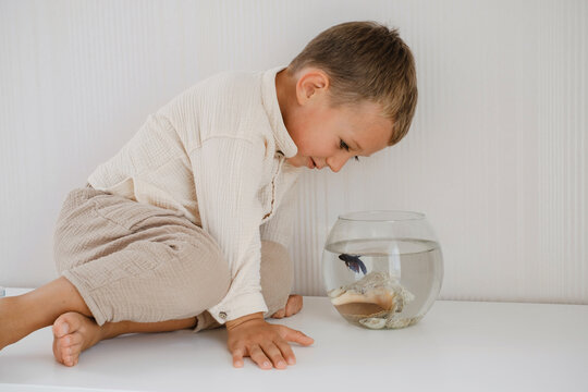 Boy Looking At Fish Tank. Cute Little Boy Feeding Fish In Aquarium On The Table At Home