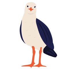 seagull on white background vector
