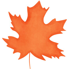 red maple leaf