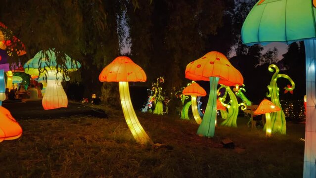 giant mushrooms light up at night in wonderland