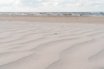 Fototapeta na wymiar Close-up of fantastic sandy dunes ridges ripples beach near water sea ocean coastline on sunny day. Summer, holiday.