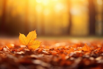 A single leaf resting on a bed of fallen leaves