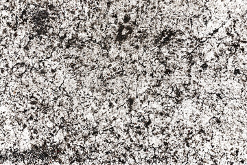 Grunge white overlay. White paint black cracks background. Scratched lines texture. White and black distressed grunge concrete wall pattern for graphic design. Peel paint crack. 